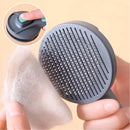 Escova Tira Pelos PET