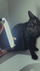 Luz de Preenchimento para Video LED