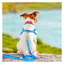 Guia Peitoral Pet [Fêmea e Macho]