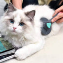 Escova Tira Pelos PET