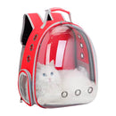 Mochila Pet Transparente