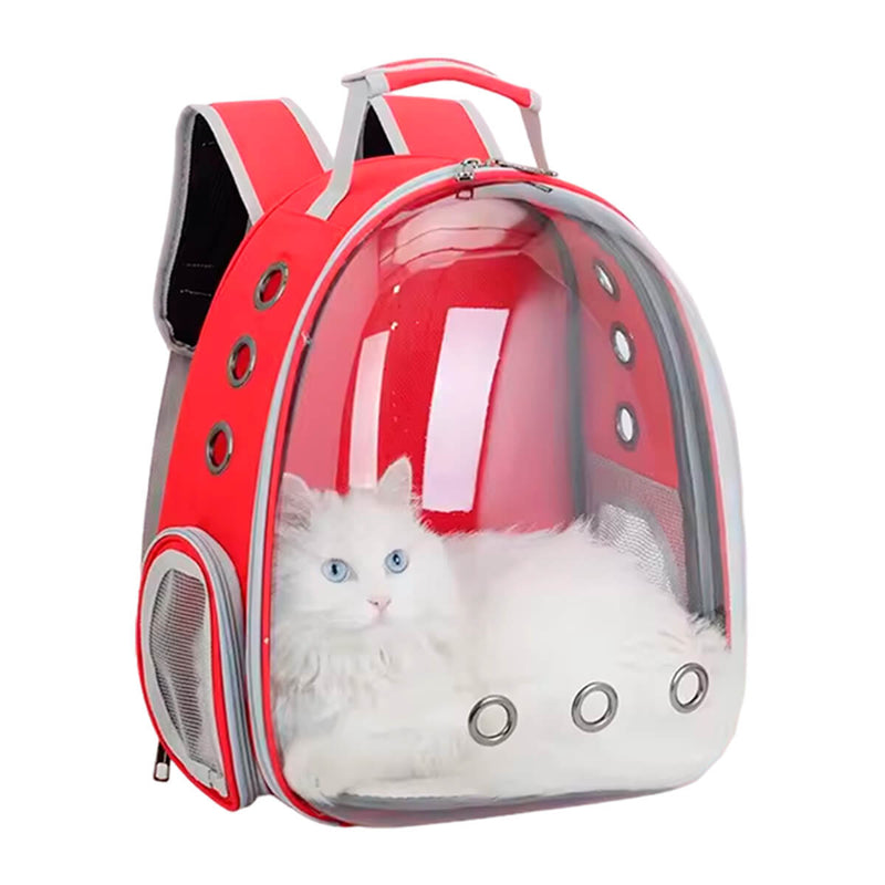 Mochila Pet Transparente